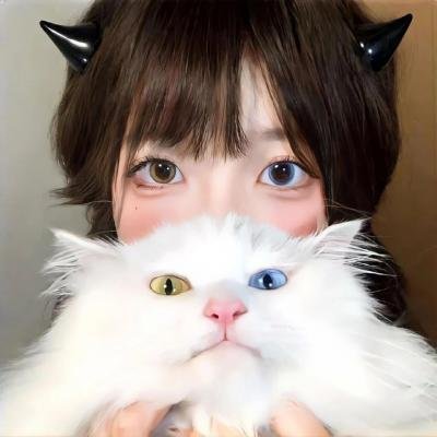 五十公里桃花坞3